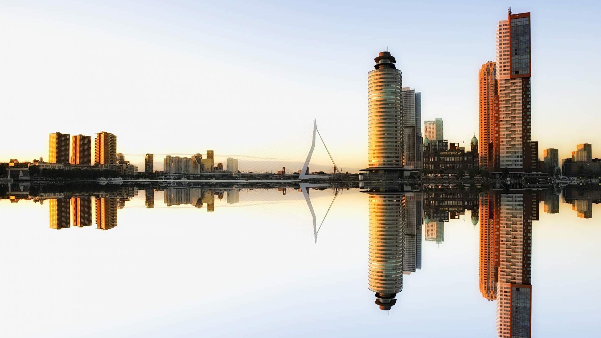 Rotterdam, Den Haag & Delft