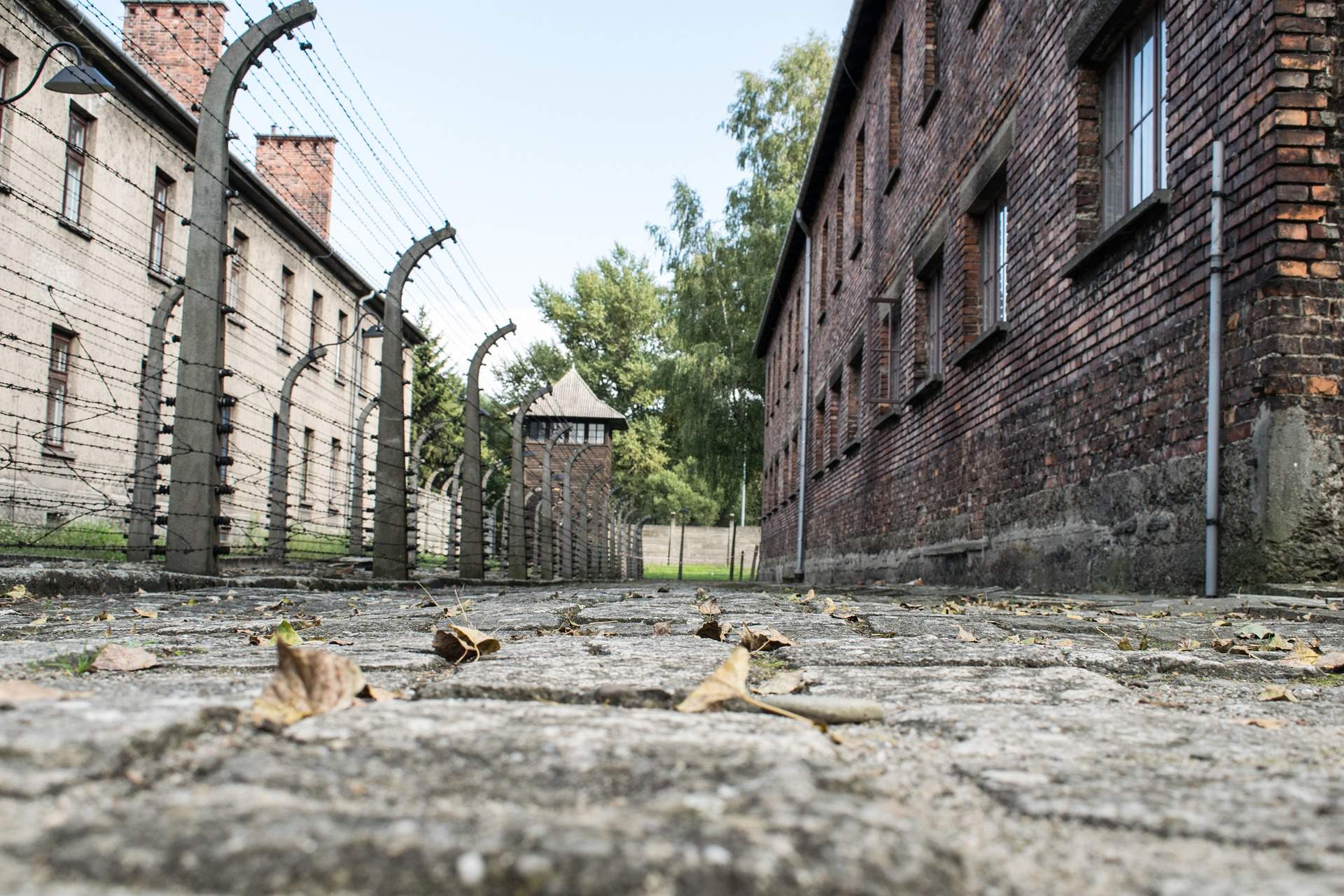 Busreis rondreis Polen - Auschwitz-Birkenau ©Larah Vidotto from Pixabay