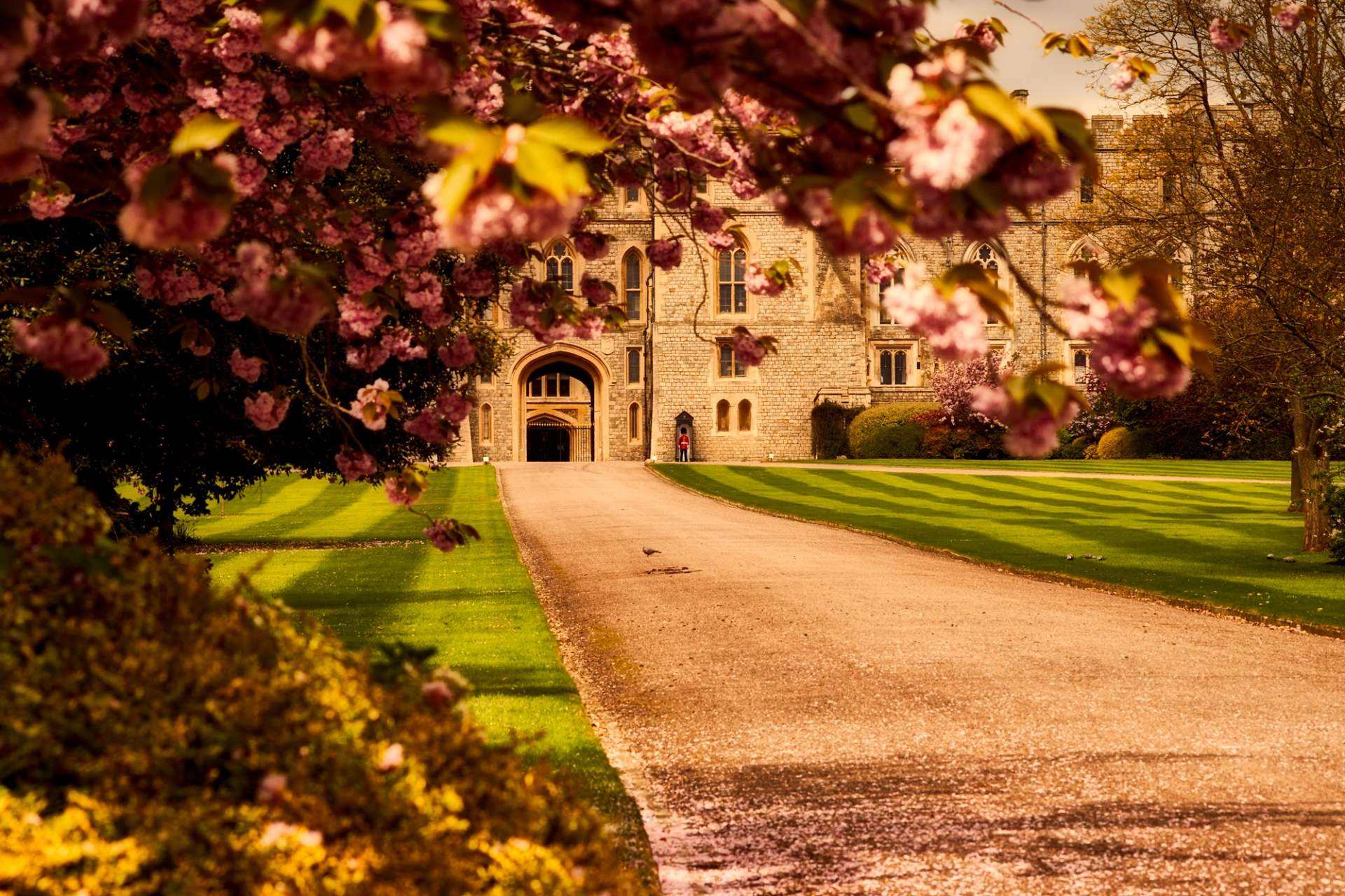 Busreis Cotswolds - Windsor Castle ©David Mark from Pixabay