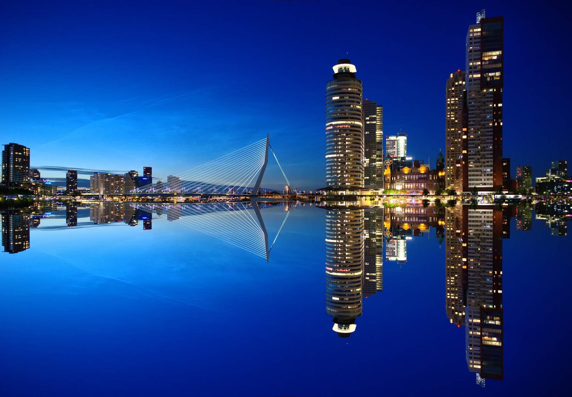 Busreis Rotterdam minitrip ©Markus Christ from Pixabay