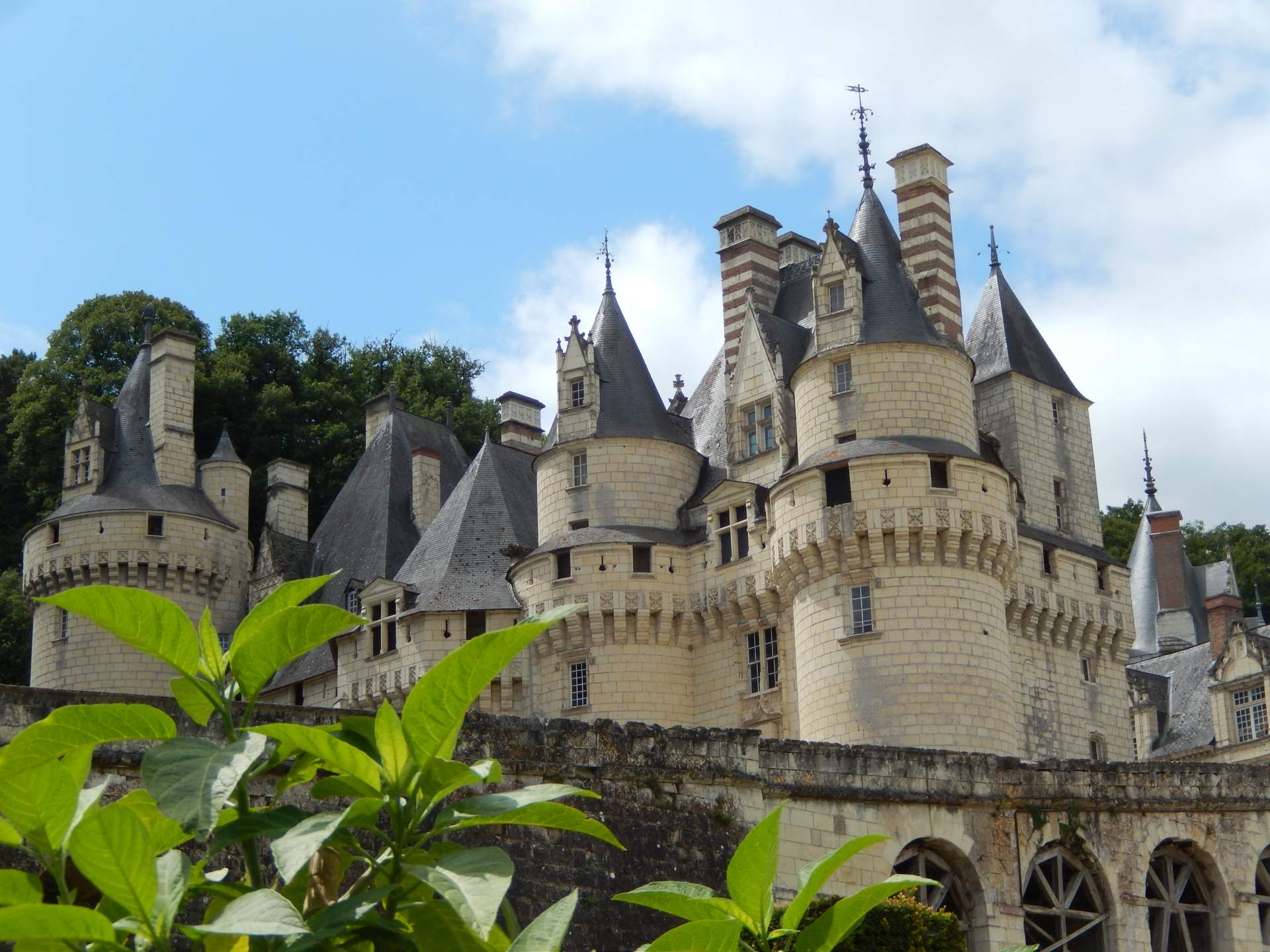 Busreis Loire Chateau d'Ussé ©Aga Marchewka from Pixabay